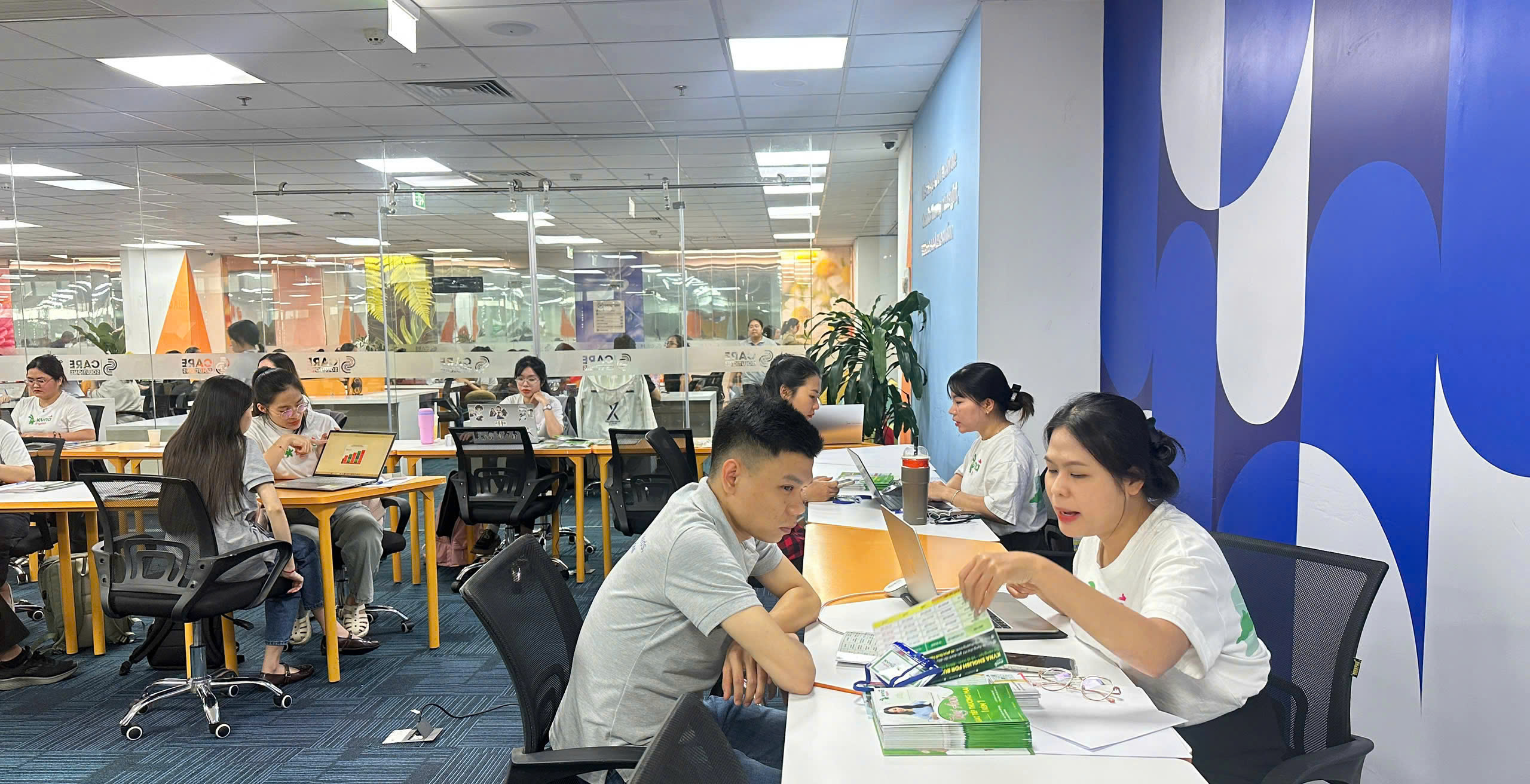 khao-sat-tieng-anh 7